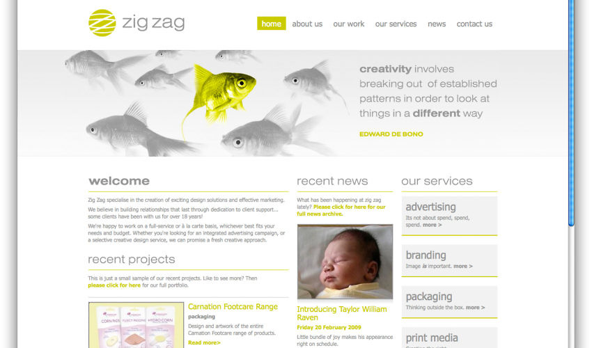 new zig zag website