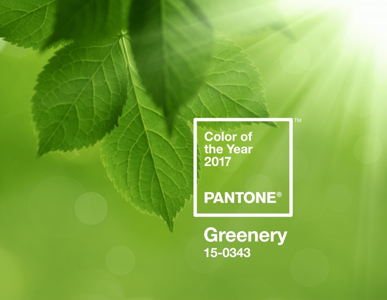 Pantone Colour of the Year Greenery, Pantone 15-0343